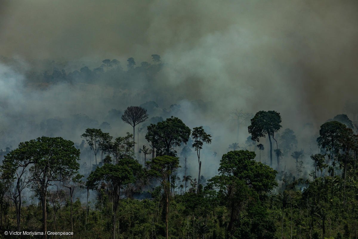 Φωτιές στον Αμαζόνιο: Ο πραγματικός κίνδυνος για την ανθρωπότητα