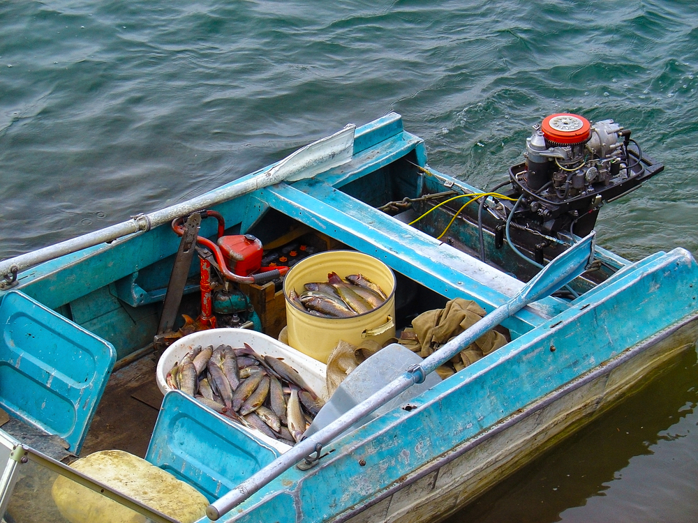 Προθεσμίες υποβολής και επισημάνσεις για την πώληση αλιευτικών προϊόντων